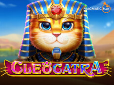 Casino slots free spins. Yobetit casino mobil.27